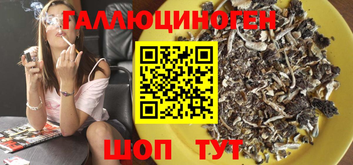 Галлюциногенные грибы Psilocybe Пенза