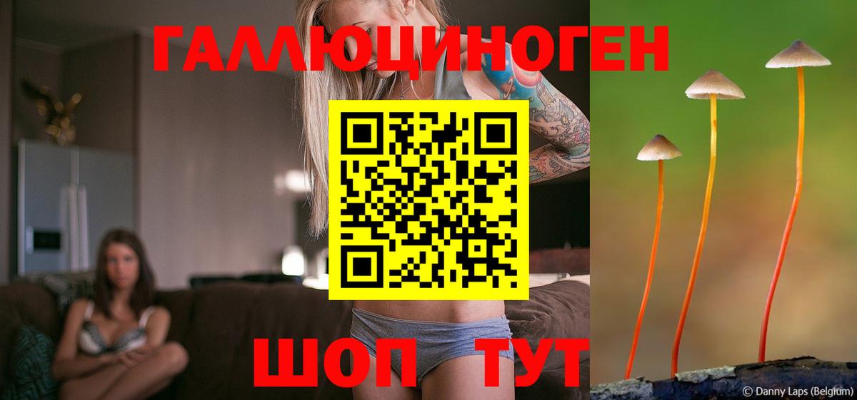 Галлюциногенные грибы MAGIC MUSHROOMS  Псилоцибиновые грибы Psilocybine cubensis  Пенза  Вход с VPN 